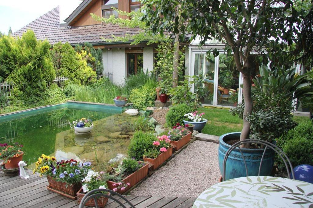 גרוט Bed & Breakfast Wepfer מראה חיצוני תמונה
